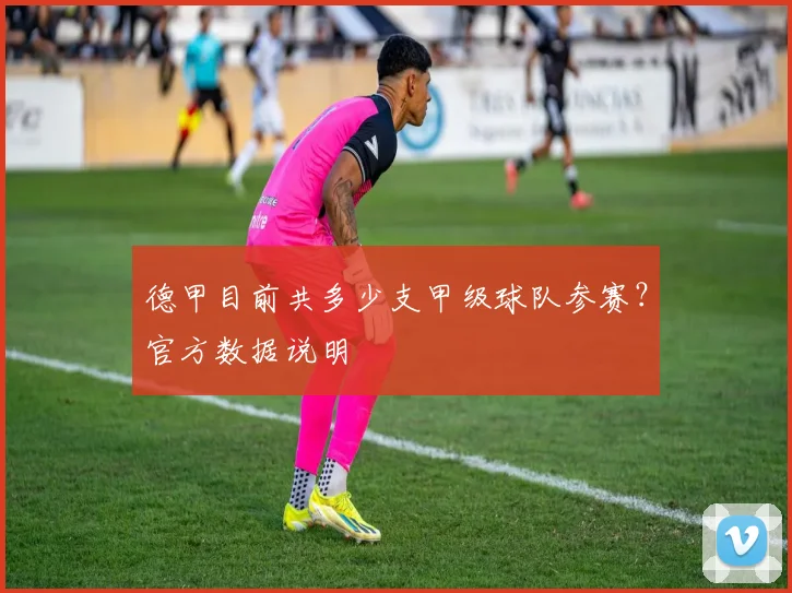 德甲目前共多少支甲级球队参赛？官方数据说明