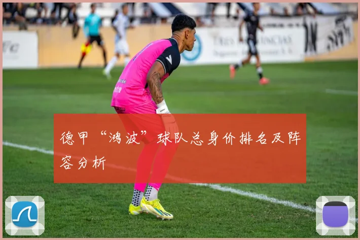 德甲“鸿波”球队总身价排名及阵容分析