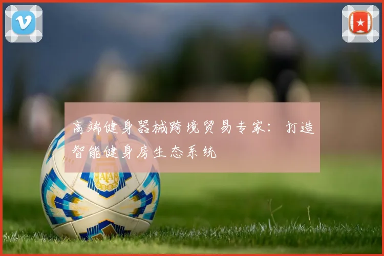 高端健身器械跨境贸易专家：打造智能健身房生态系统