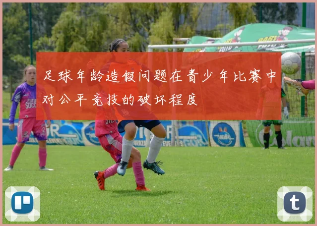 足球年龄造假问题在青少年比赛中对公平竞技的破坏程度